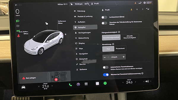 Tesla Model 3 Performance AWD Foto 18