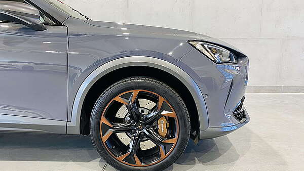 Cupra Formentor VZ 2.0 TSI DSG 4Drive Foto 10