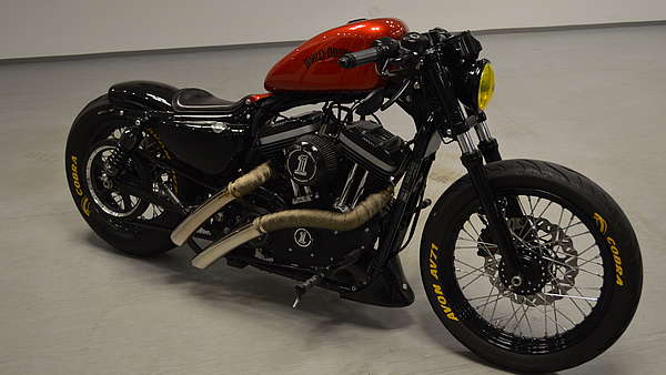 Harley Davidson Sportster Iron 883 XL Foto 6
